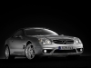 SL 55 M1  010